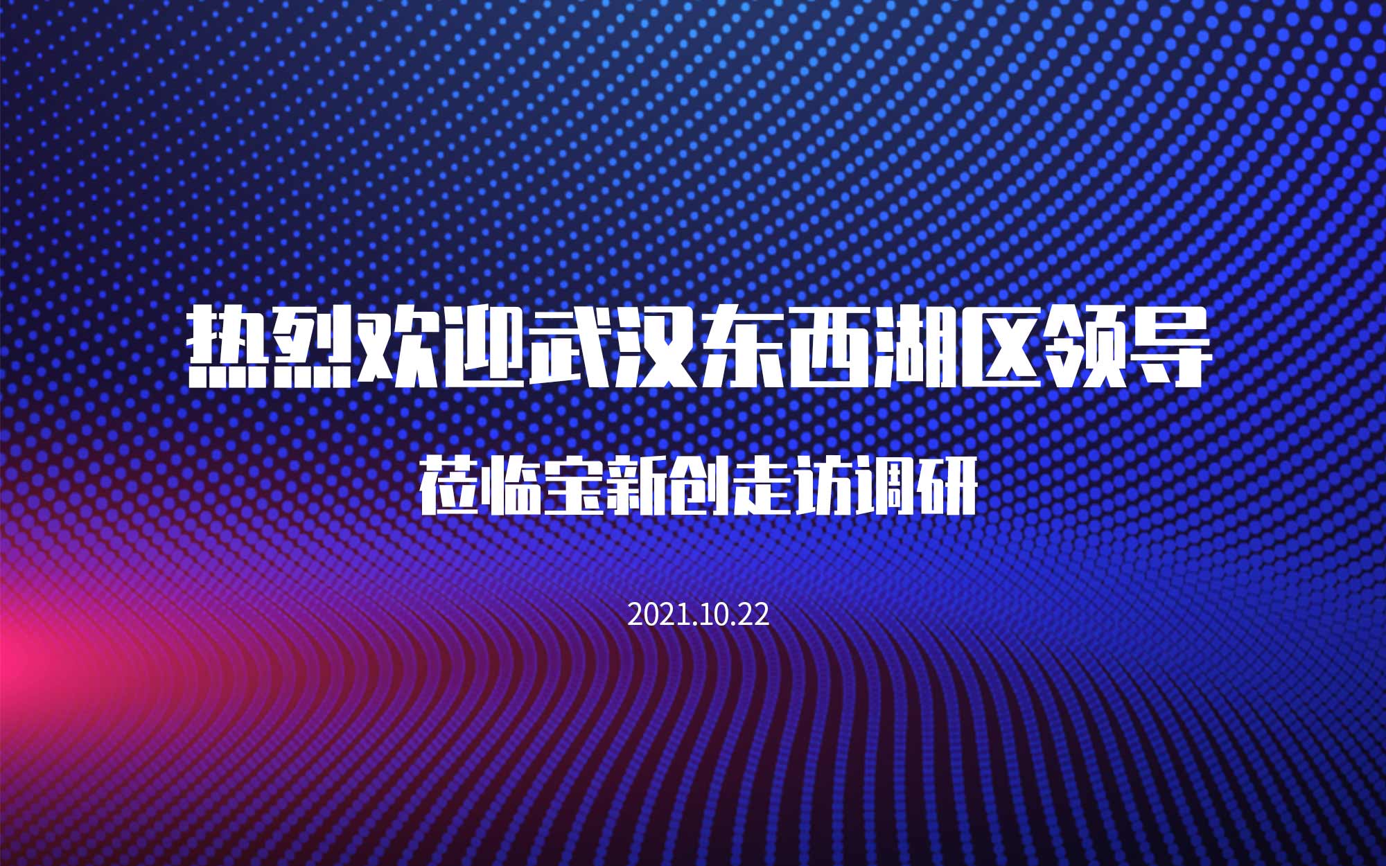 武漢市東西湖區(qū)領(lǐng)導(dǎo)蒞臨寶新創(chuàng)走訪(fǎng)調(diào)研